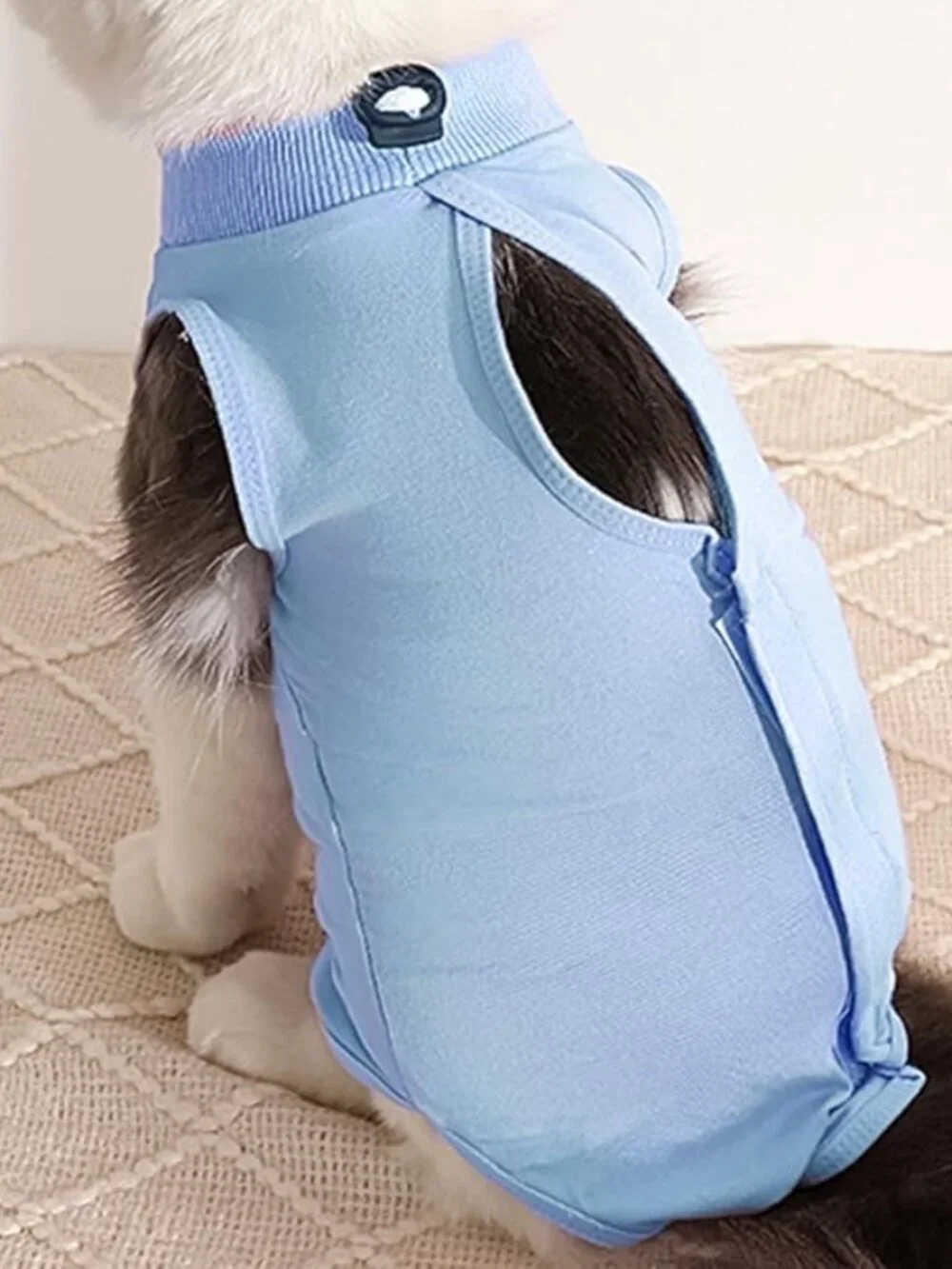 Pet Surgery Recovery Suit Cats Small Female Dogs FREE GIFT Size M NEW